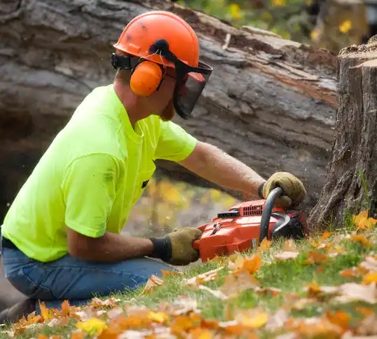 tree services Marlboro Village